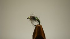 (5) Size#16 Olive "Holy Grail - Style" Black Nickel Beaded Caddis Nymph [A158]