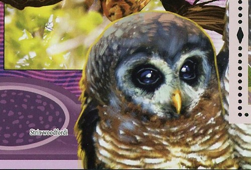 Owls Stamp Bird Strix Woodfordi Scotopelia Peli Tyto Alba S/S MNH #643 /Bl.1667 - Picture 3 of 12