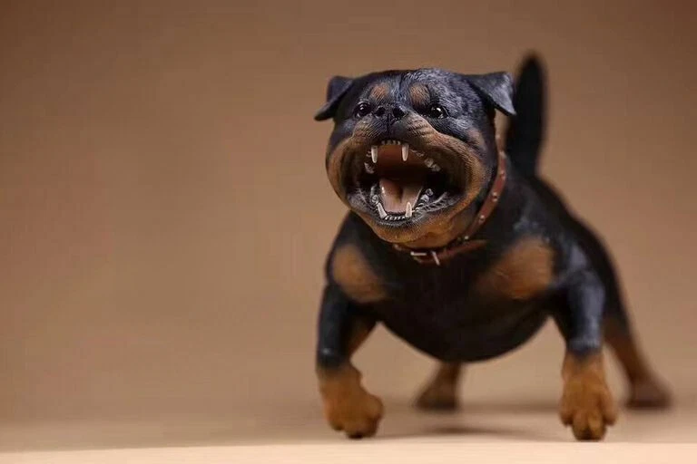 9-дюймовый реалистичный ротвейлер сидящая собака реалистичная фигурка статуэтка для дома - Изображение 3 из 4