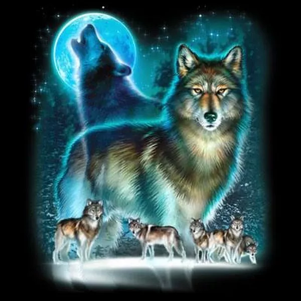 wolf and moon shirt