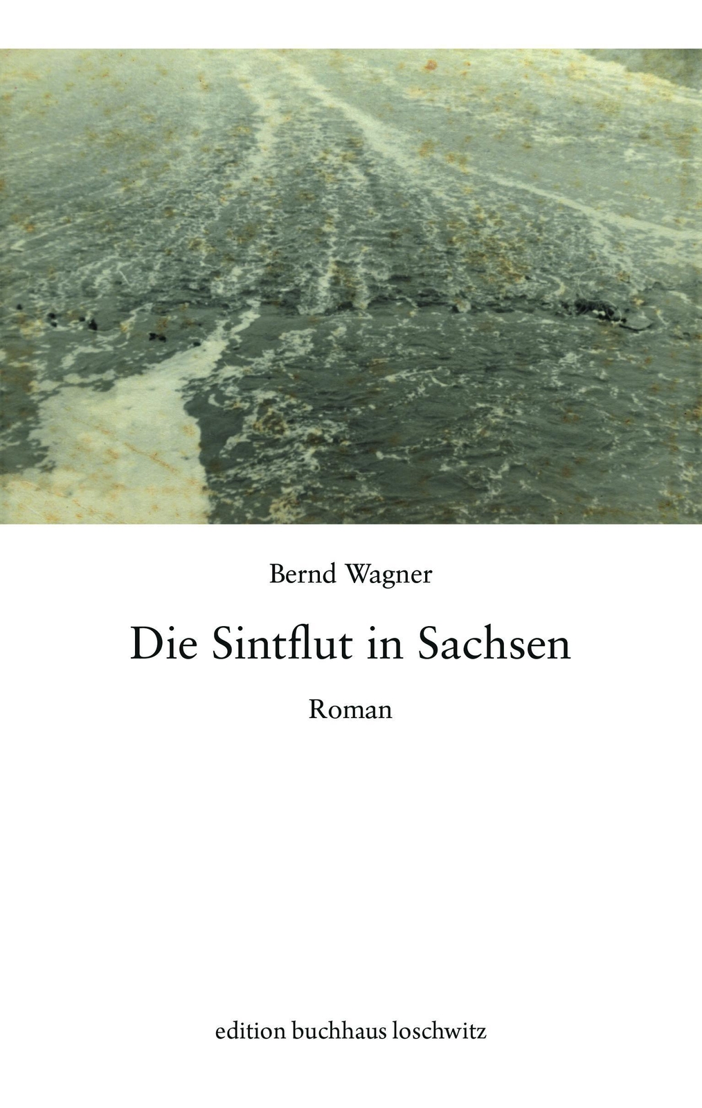Thumbnail - Die Sintflut In Sachsen Bernd Wagner