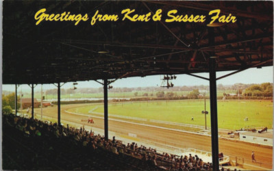 Harrington, DE Kent Sussex Fair Horse Race Track Stands 1960s Postcard Delaware