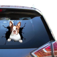 Super Cute Boston Terrier car window decal, funny pet sticker, dogs lover, vinyl