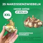 Bild 3 von 8