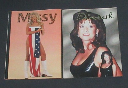 Beauties of Wrestling Premier issue Sable Sunny 8 Huge Poster Chyna June 1998 - Picture 8 of 12
