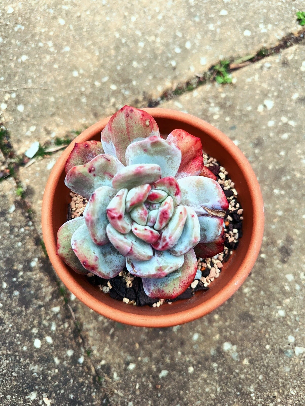Picture 1 of 5