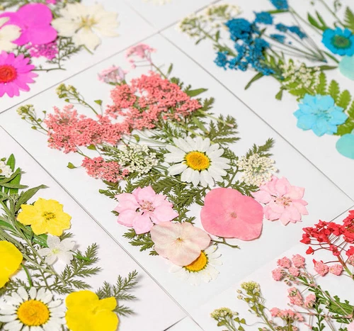 Dried Pressed Flowers Natural Epoxy Resin Candle Nail Art Scrapbooking Craft AU - Picture 38 of 210