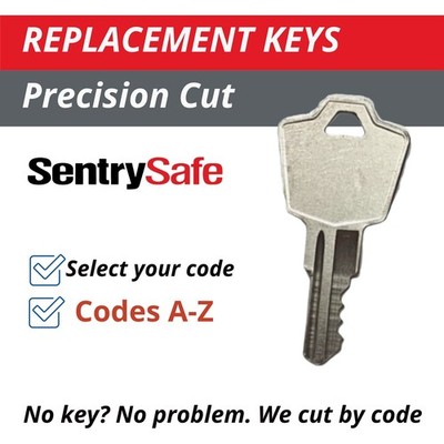 Sentry Safe Keys Fire Box Single-Sided Replacement Key Cut to Code A-Z
