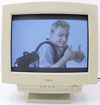 Dell D1028L 17