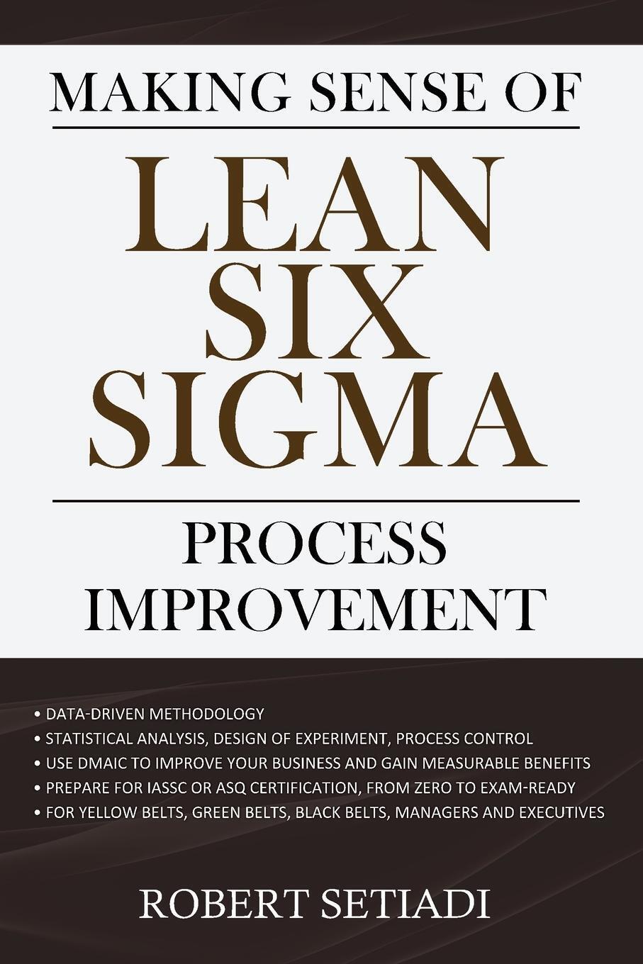 Thumbnail - Making Sense Of Lean Six Sigma Process Improvement Robert Setiadi