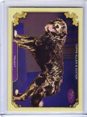 2024 Topps Allen & Ginter STARS OF THE SHOW - TRUANT #SOS-4