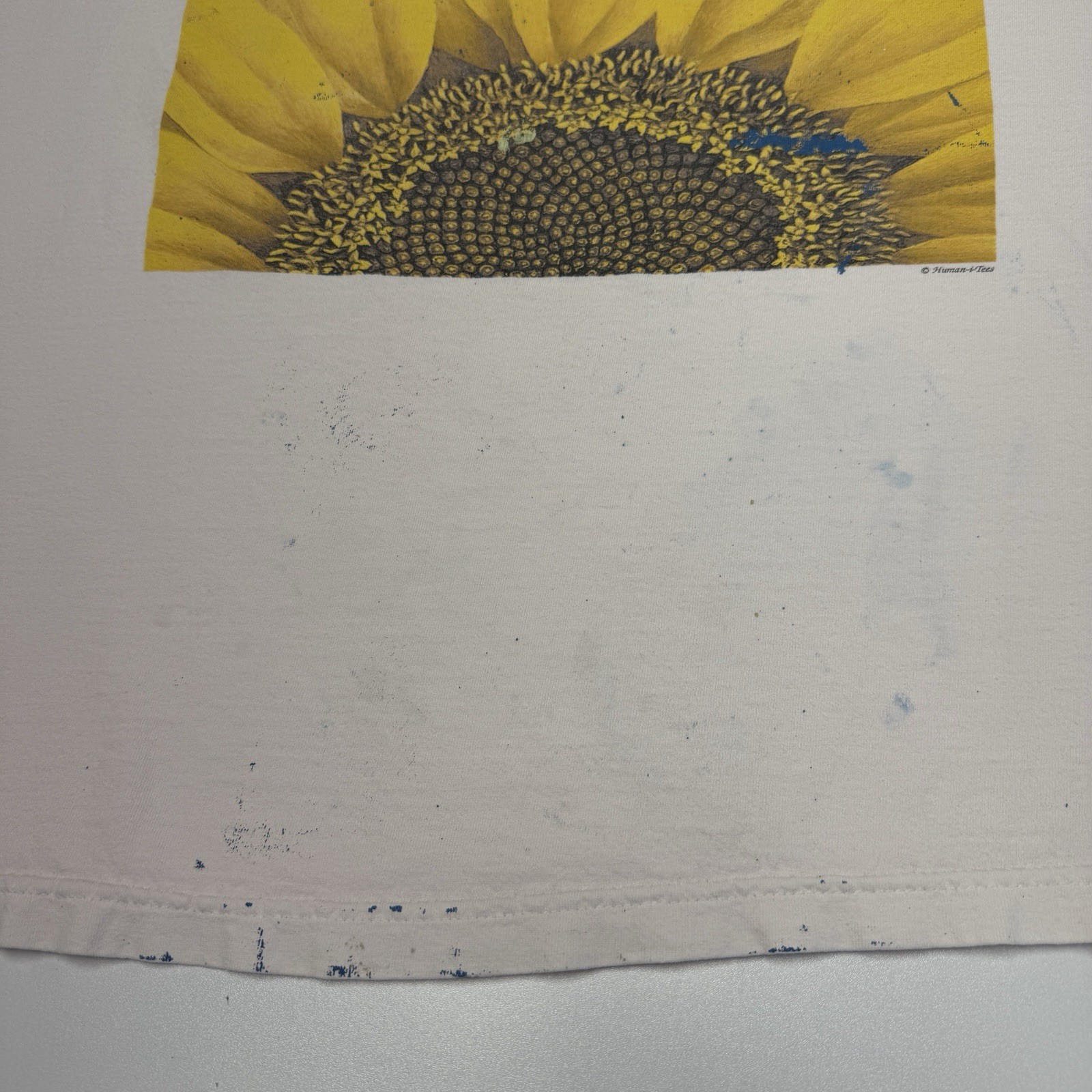 Picture 9 of 16