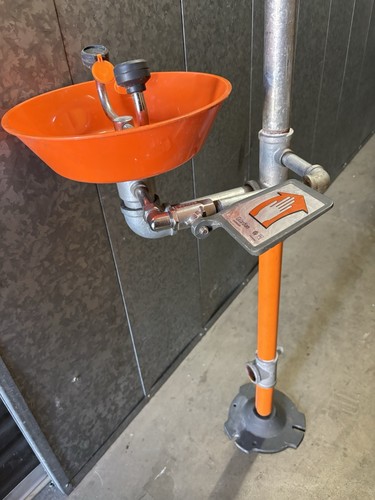 Guardian Emergency Shower/Eyewash Station