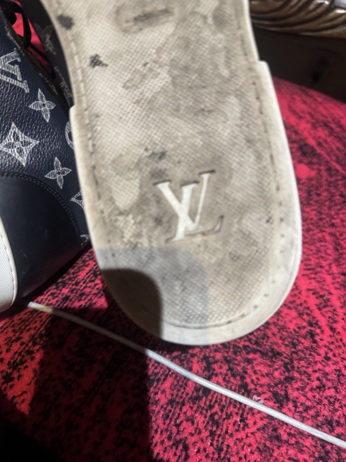 AUTHENTIC Louis Vuitton LV Savane Monogram Lion Chapman 11 (RARE) Hi Top Sneaker image 6