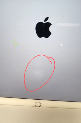 Apple iPad Pro (10.5-inch) A1701 256 GB, Wi-Fi, 10.5 in - Rose