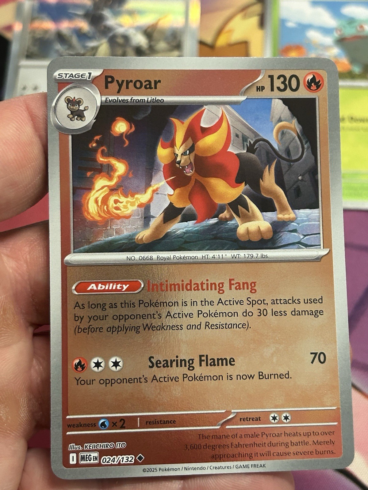 Pyroar - 024/132 - Reverse Holo - Mega Evolution - MINT - Pokemon Card