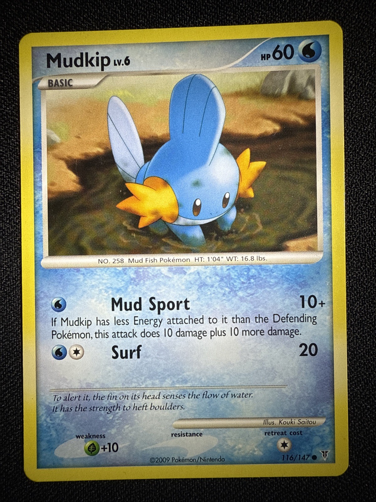 Mudkip 116/147 Supreme Victors Regular Common Pokemon Card TCG English LP