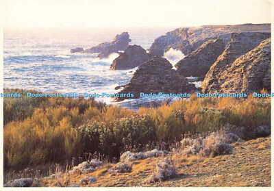 D177438 Belle Isle em Mer. Morbihan. Le Rocher du Chien. Dubray. Alain Samzun