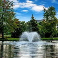 Scott Aerator North Star Aerator, 1/2 HP, 115 V, 100' Cord 14020.100