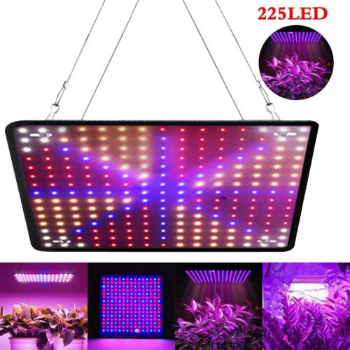 8500W 256 LED Grow Light Panel Full Spectrum Lamp for Indoor Plant Veg ...