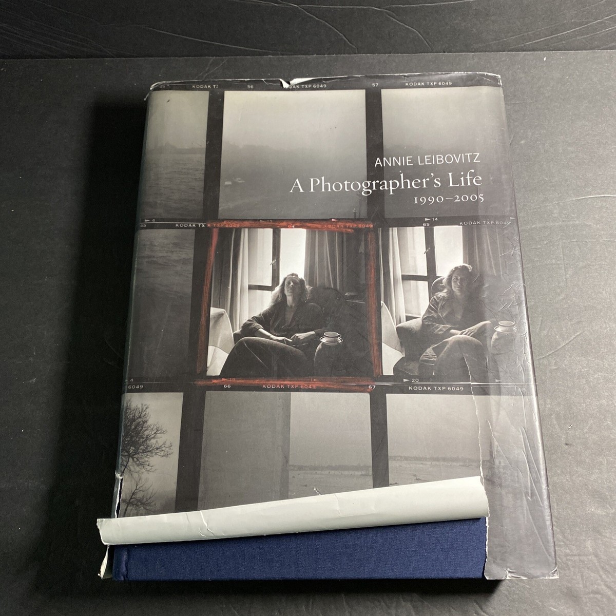 Photography History: Photographer's Life 1990-2005 - Annie