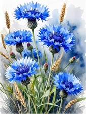 Tile Mural Blue Cornflowers Flowers Floral Kitchen Shower Wall Art Backsplash