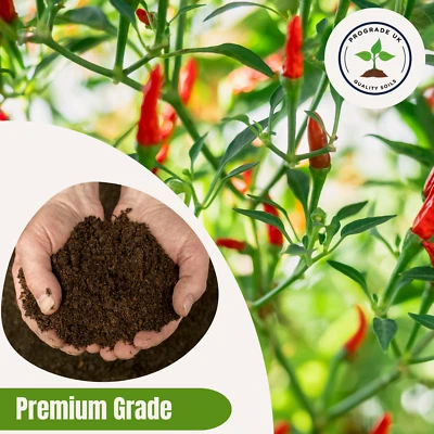 PROGRADE Chilli Plant Potting/Growing Compost - Premium Grade Peat Based (All Varieties)