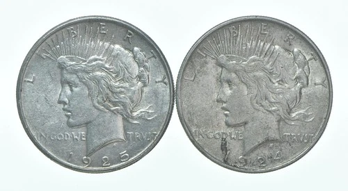 1925 & 1924 Peace Silver Dollar $1 Bullion Collection Lot *148