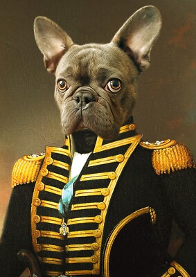 Royal Dog Portrait Custom portrait dog uniform admiral french