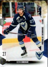 Kevin Domingue 2014-15 Sherbrooke Phoenix