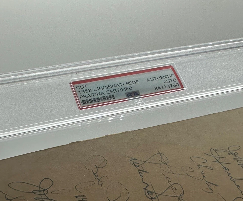 1958 Cincinnati Reds team signed cut slab auto PSA/DNA 8x10 - Image 3 of 3