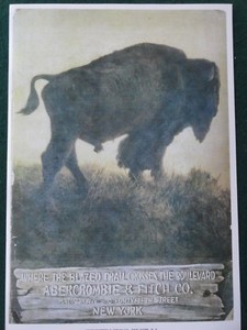 Abercrombie & Fitch Advertising Poster Buffalo 