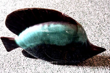 BLUE MOUNTAIN POTTERY SUNFISH