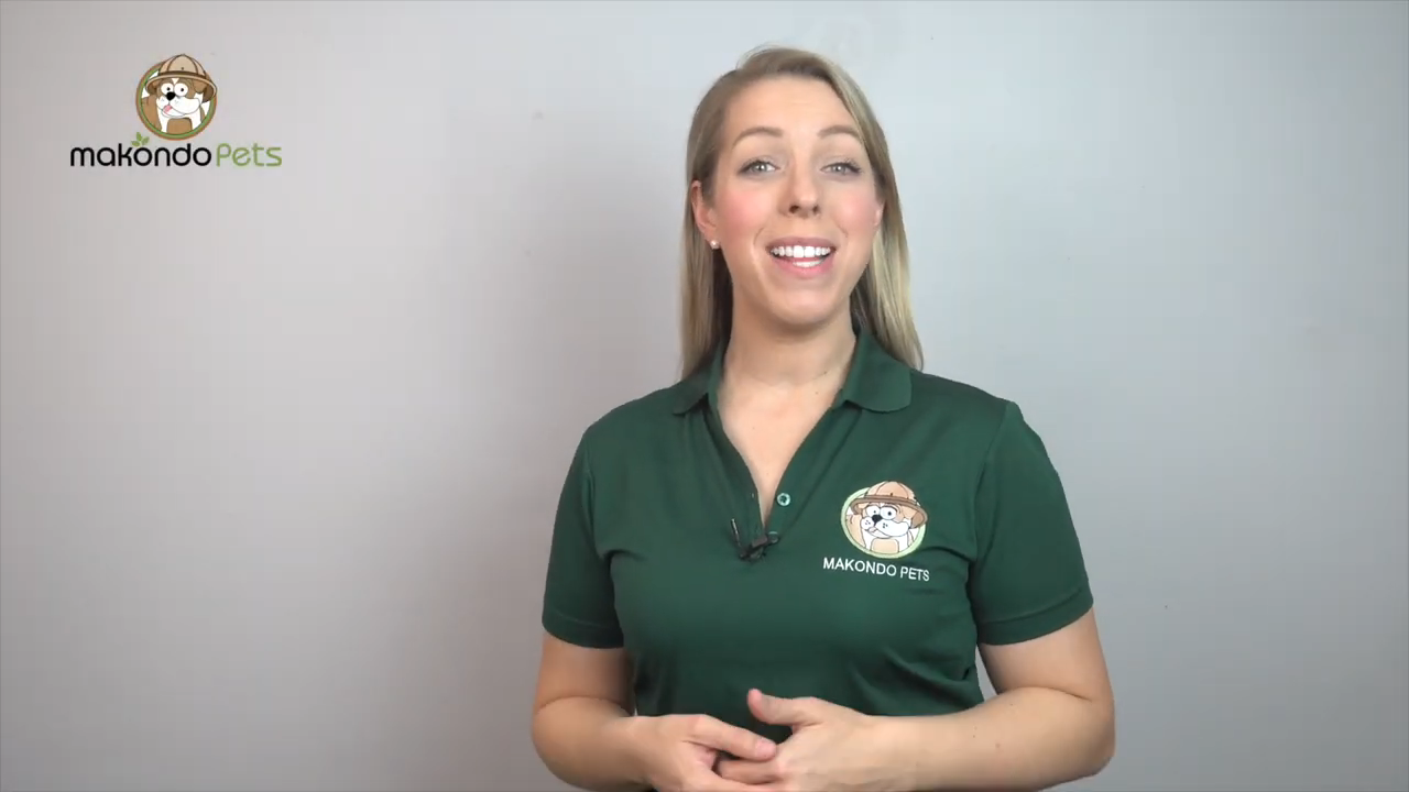 Dog Whitening Shampoo. Tear stain remover for white dogs. Natural Dog