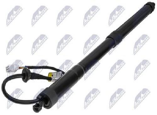 NTY Power Tailgate Electric Motor AE-TY-057 For Lexus Left Reinforced