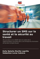 Structurer Un SMS Sur La Santé Et La SéCurité Au Travail Laprilla (U. A.) Buch