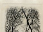 Original 1920’s Pen-Dike Signed Winter Scene Photograph * Rare Landscape Vintage — photo 6
