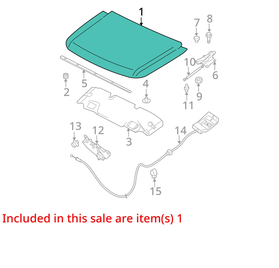 (LOCAL PICKUP ONLY) 04 05 06 07 08 09 10 11 12 13 14 15 NISSAN TITAN Hood Foto 3 de 4