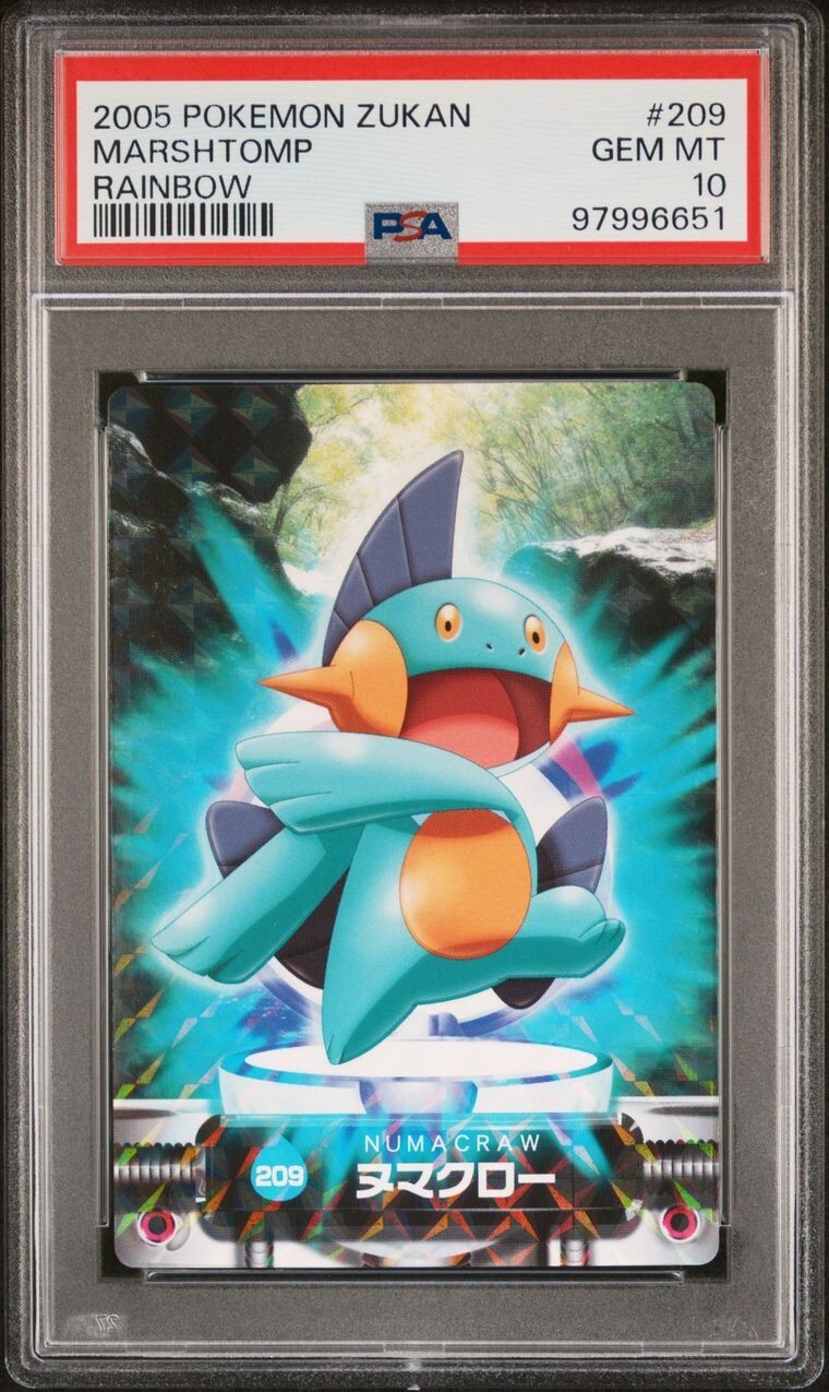 PSA 10 GEM MINT Marshtomp #209 Carddass Zukan Rainbow Holo Bandai Pokémon POP 1