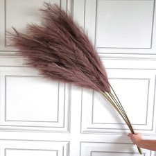 Image of Large Chocolate Brown Artificial Pampas Grass 3 Stems 115cm Tall Fluffy Flower