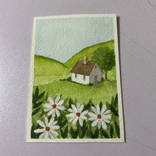  on The Hot Collector