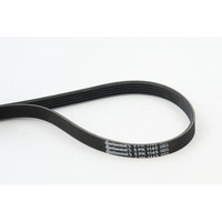 Keilrippenriemen Continental Ctam 5PK1145 FüR Alfa Romeo Chrysler Fiat Ford MG
