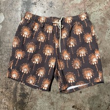 Fair Harbor Swim Trunks, Men's Large Bayberry Shorts, Lined, 7 inch Inseam Palms