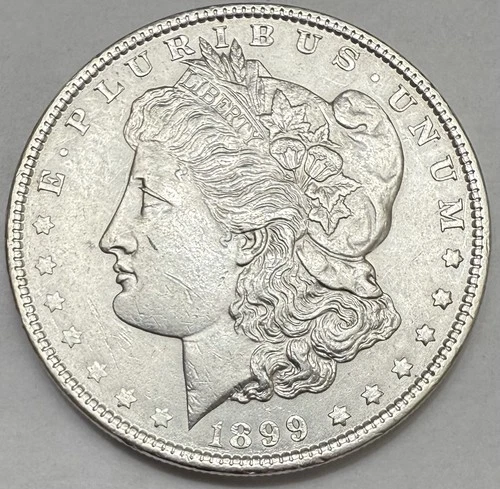 1899-P Morgan Silver Dollar AU/BU Details