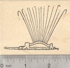 Irrigation Sprinkler Rubber Stamp, Summer Fun, Lawn Care K27317 WM