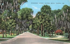 Vintage Ridgewood Avenue Daytona Beach Florida Linen Postcard by E.C. Kropp