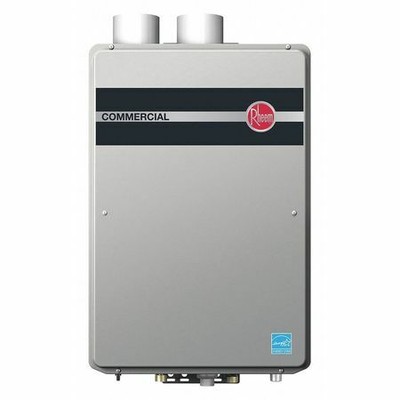 RHEEM RTGH-C95DVLN Gas Tankless Water Heater, Natural Gas ...