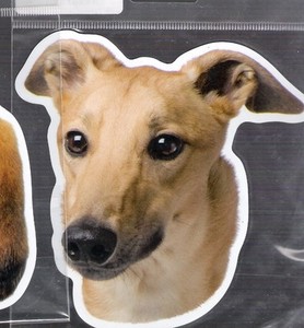Greyhound 4 inch face magnet for car or anything metal     New