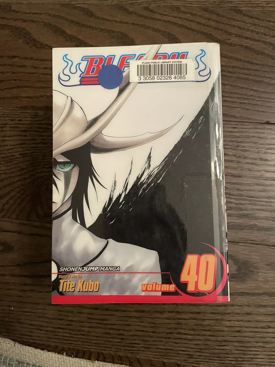 BLEACH Manga Volume 65