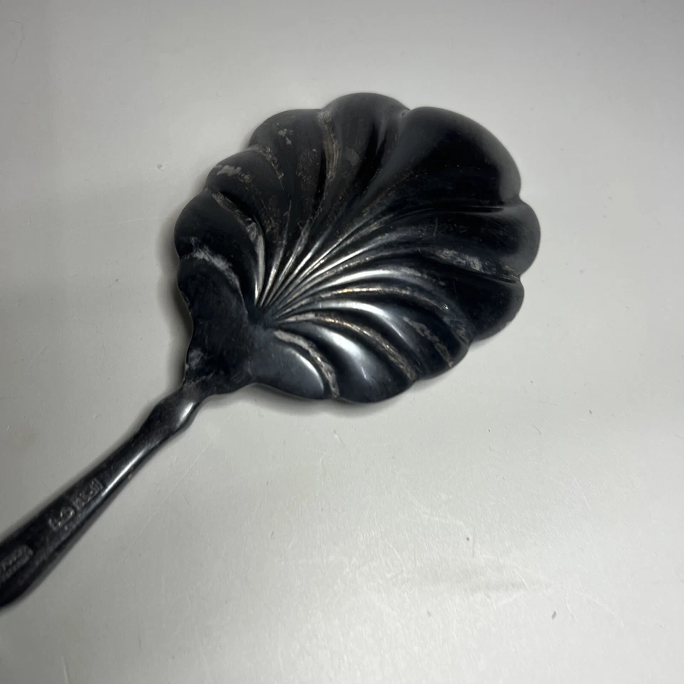 Sheffield ︱Scallop︱  Serving Spoon︱ Silver Plate︱ 11 1/2 - Image 4 of 4